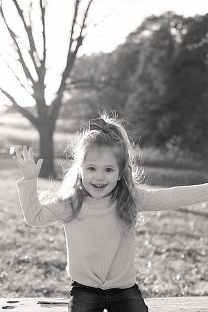 The Oehlers - Broemmelsiek Park - Brittany Lynn Imagery LLC - STL St Louis MO Wedding Portrait Photographer BW-255
