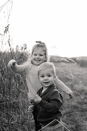 The Oehlers - Broemmelsiek Park - Brittany Lynn Imagery LLC - STL St Louis MO Wedding Portrait Photographer BW-303