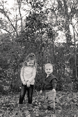 The Oehlers - Broemmelsiek Park - Brittany Lynn Imagery LLC - STL St Louis MO Wedding Portrait Photographer BW-154