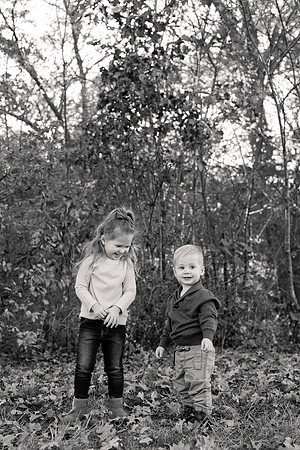 The Oehlers - Broemmelsiek Park - Brittany Lynn Imagery LLC - STL St Louis MO Wedding Portrait Photographer BW-155