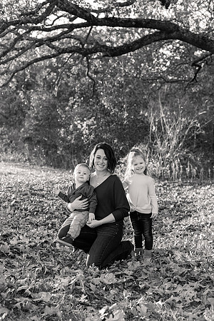 The Oehlers - Broemmelsiek Park - Brittany Lynn Imagery LLC - STL St Louis MO Wedding Portrait Photographer BW-241