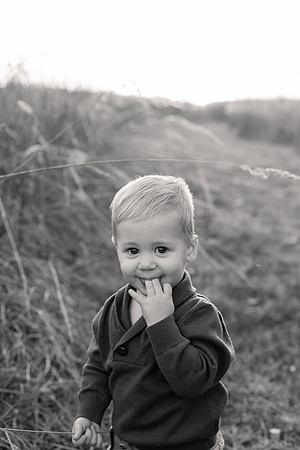 The Oehlers - Broemmelsiek Park - Brittany Lynn Imagery LLC - STL St Louis MO Wedding Portrait Photographer BW-295