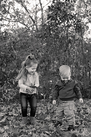 The Oehlers - Broemmelsiek Park - Brittany Lynn Imagery LLC - STL St Louis MO Wedding Portrait Photographer BW-168