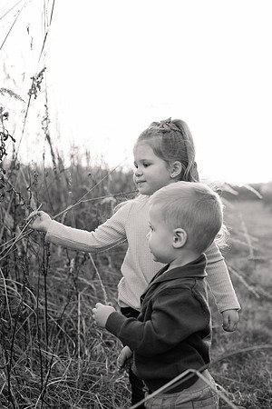 The Oehlers - Broemmelsiek Park - Brittany Lynn Imagery LLC - STL St Louis MO Wedding Portrait Photographer BW-297