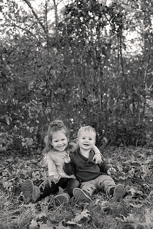 The Oehlers - Broemmelsiek Park - Brittany Lynn Imagery LLC - STL St Louis MO Wedding Portrait Photographer BW-136