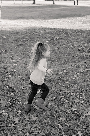 The Oehlers - Broemmelsiek Park - Brittany Lynn Imagery LLC - STL St Louis MO Wedding Portrait Photographer BW-89