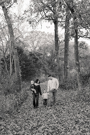 The Oehlers - Broemmelsiek Park - Brittany Lynn Imagery LLC - STL St Louis MO Wedding Portrait Photographer BW-23
