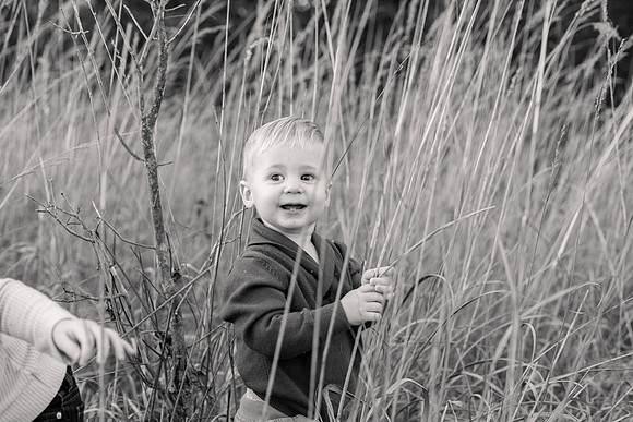 The Oehlers - Broemmelsiek Park - Brittany Lynn Imagery LLC - STL St Louis MO Wedding Portrait Photographer BW-358