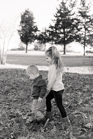 The Oehlers - Broemmelsiek Park - Brittany Lynn Imagery LLC - STL St Louis MO Wedding Portrait Photographer BW-86