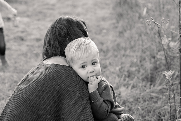 The Oehlers - Broemmelsiek Park - Brittany Lynn Imagery LLC - STL St Louis MO Wedding Portrait Photographer BW-400