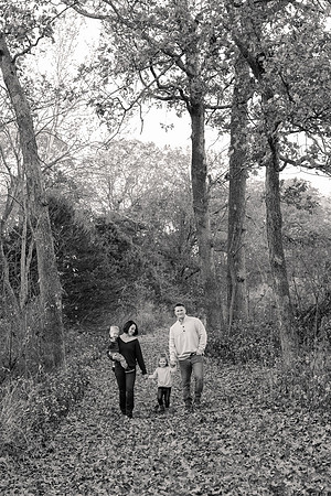 The Oehlers - Broemmelsiek Park - Brittany Lynn Imagery LLC - STL St Louis MO Wedding Portrait Photographer BW-182