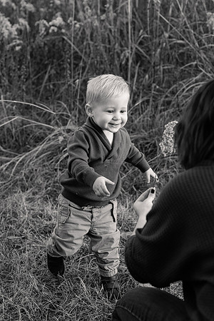 The Oehlers - Broemmelsiek Park - Brittany Lynn Imagery LLC - STL St Louis MO Wedding Portrait Photographer BW-344