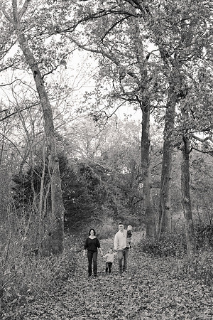 The Oehlers - Broemmelsiek Park - Brittany Lynn Imagery LLC - STL St Louis MO Wedding Portrait Photographer BW-196