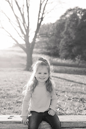 The Oehlers - Broemmelsiek Park - Brittany Lynn Imagery LLC - STL St Louis MO Wedding Portrait Photographer BW-254