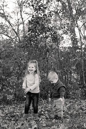 The Oehlers - Broemmelsiek Park - Brittany Lynn Imagery LLC - STL St Louis MO Wedding Portrait Photographer BW-151