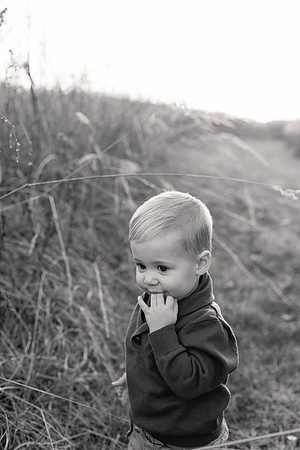 The Oehlers - Broemmelsiek Park - Brittany Lynn Imagery LLC - STL St Louis MO Wedding Portrait Photographer BW-294
