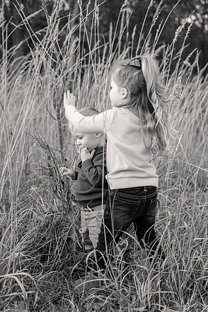 The Oehlers - Broemmelsiek Park - Brittany Lynn Imagery LLC - STL St Louis MO Wedding Portrait Photographer BW-369