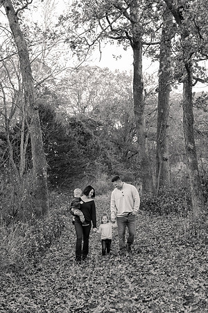 The Oehlers - Broemmelsiek Park - Brittany Lynn Imagery LLC - STL St Louis MO Wedding Portrait Photographer BW-24