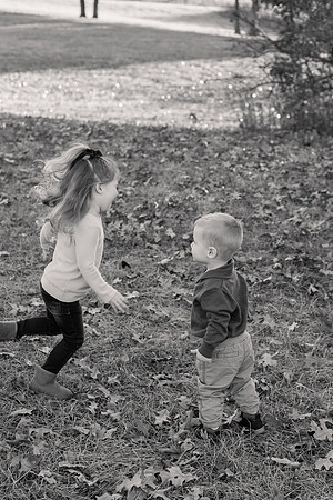 The Oehlers - Broemmelsiek Park - Brittany Lynn Imagery LLC - STL St Louis MO Wedding Portrait Photographer BW-90