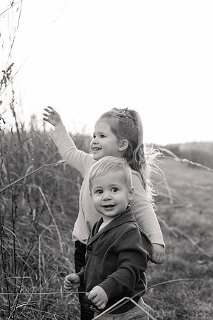 The Oehlers - Broemmelsiek Park - Brittany Lynn Imagery LLC - STL St Louis MO Wedding Portrait Photographer BW-307
