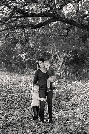 The Oehlers - Broemmelsiek Park - Brittany Lynn Imagery LLC - STL St Louis MO Wedding Portrait Photographer BW-37