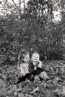 The Oehlers - Broemmelsiek Park - Brittany Lynn Imagery LLC - STL St Louis MO Wedding Portrait Photographer BW-17