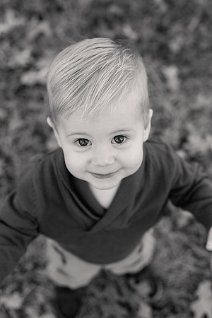 The Oehlers - Broemmelsiek Park - Brittany Lynn Imagery LLC - STL St Louis MO Wedding Portrait Photographer BW-59