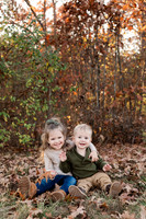 The Oehlers - Broemmelsiek Park - Brittany Lynn Imagery LLC - STL St Louis MO Wedding Portrait Photographer -15