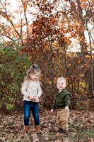 The Oehlers - Broemmelsiek Park - Brittany Lynn Imagery LLC - STL St Louis MO Wedding Portrait Photographer -20