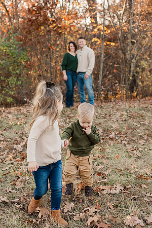 The Oehlers - Broemmelsiek Park - Brittany Lynn Imagery LLC - STL St Louis MO Wedding Portrait Photographer -10
