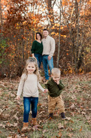 The Oehlers - Broemmelsiek Park - Brittany Lynn Imagery LLC - STL St Louis MO Wedding Portrait Photographer -9