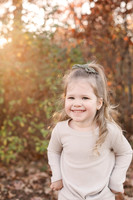 The Oehlers - Broemmelsiek Park - Brittany Lynn Imagery LLC - STL St Louis MO Wedding Portrait Photographer -12