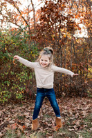 The Oehlers - Broemmelsiek Park - Brittany Lynn Imagery LLC - STL St Louis MO Wedding Portrait Photographer -13