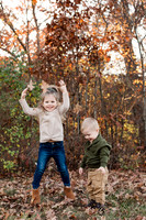 The Oehlers - Broemmelsiek Park - Brittany Lynn Imagery LLC - STL St Louis MO Wedding Portrait Photographer -19