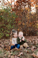 The Oehlers - Broemmelsiek Park - Brittany Lynn Imagery LLC - STL St Louis MO Wedding Portrait Photographer -17