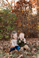 The Oehlers - Broemmelsiek Park - Brittany Lynn Imagery LLC - STL St Louis MO Wedding Portrait Photographer -16
