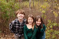 Greene Family Collection - Brittany Lynn Imagery LLC - Brittany Branson - STL St Louis St Charles MO Portrait Photographer-9