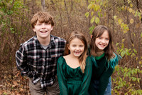 Greene Family Collection - Brittany Lynn Imagery LLC - Brittany Branson - STL St Louis St Charles MO Portrait Photographer-11