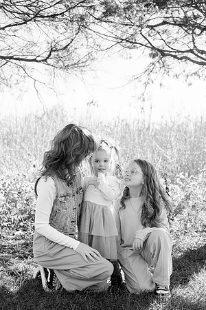 - Brittany Lynn Imagery LLC - Brittany Branson - STL St Louis St Charles MO Portrait Photographer-53