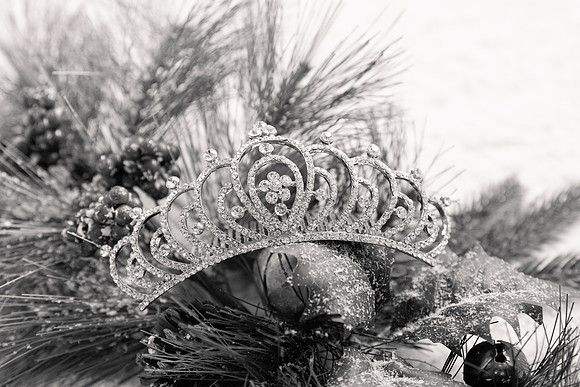 1 Highlights - Brittany Lynn Imagery LLC - STL St Louis MO Wedding Portrait Photographer -5