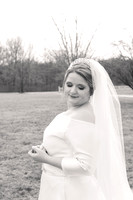 1 Highlights - Brittany Lynn Imagery LLC - STL St Louis MO Wedding Portrait Photographer -26