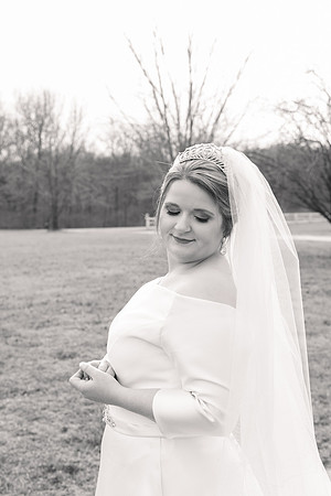 1 Highlights - Brittany Lynn Imagery LLC - STL St Louis MO Wedding Portrait Photographer -26