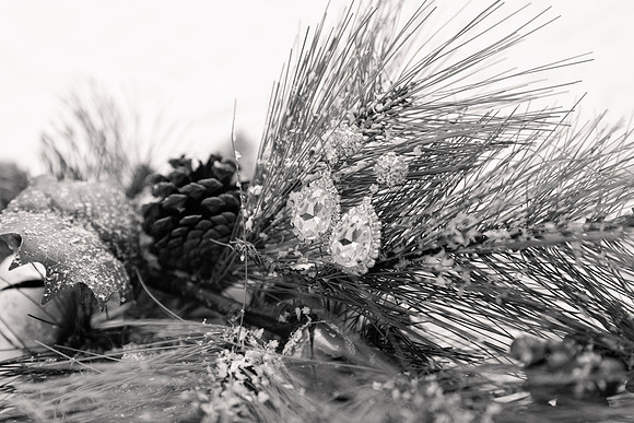 2 Details - Brittany Lynn Imagery LLC - STL St Louis MO Wedding Portrait Photographer -9