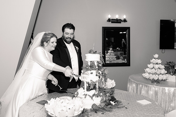 1 Highlights - Brittany Lynn Imagery LLC - STL St Louis MO Wedding Portrait Photographer -42