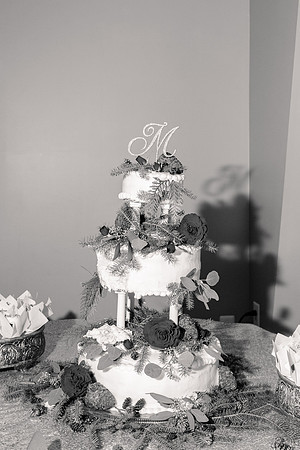 1 Highlights - Brittany Lynn Imagery LLC - STL St Louis MO Wedding Portrait Photographer -37