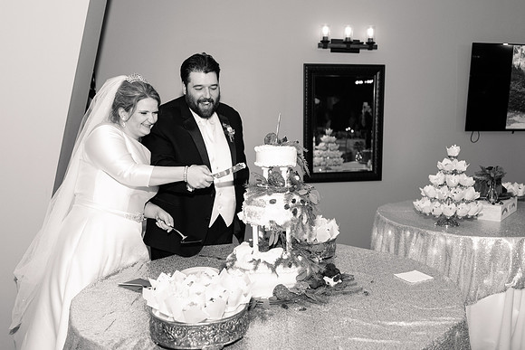 1 Highlights - Brittany Lynn Imagery LLC - STL St Louis MO Wedding Portrait Photographer -43