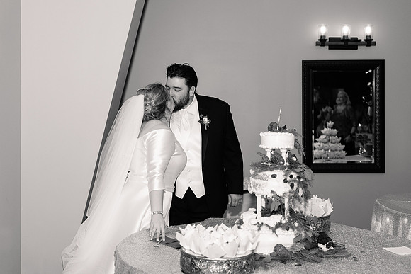 1 Highlights - Brittany Lynn Imagery LLC - STL St Louis MO Wedding Portrait Photographer -45