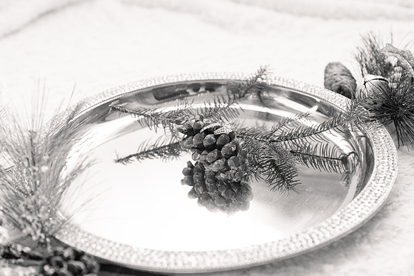 2 Details - Brittany Lynn Imagery LLC - STL St Louis MO Wedding Portrait Photographer -6
