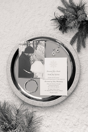 1 Highlights - Brittany Lynn Imagery LLC - STL St Louis MO Wedding Portrait Photographer -1