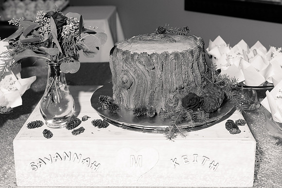 1 Highlights - Brittany Lynn Imagery LLC - STL St Louis MO Wedding Portrait Photographer -38